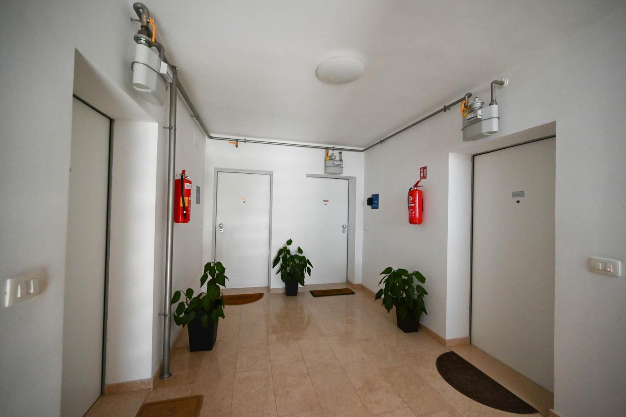 Apartment Emma Rovinj Exterior foto